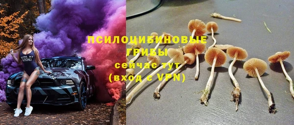 винт Алексин