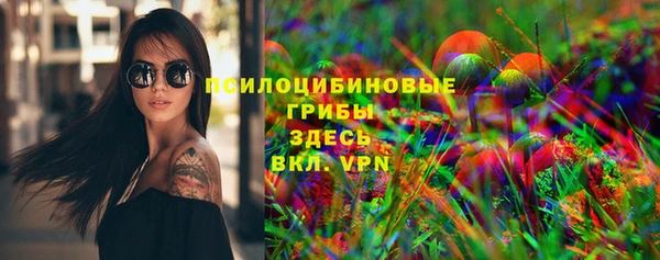 ПСИЛОЦИБИНОВЫЕ ГРИБЫ Алексеевка