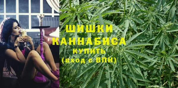 ПСИЛОЦИБИНОВЫЕ ГРИБЫ Алексеевка
