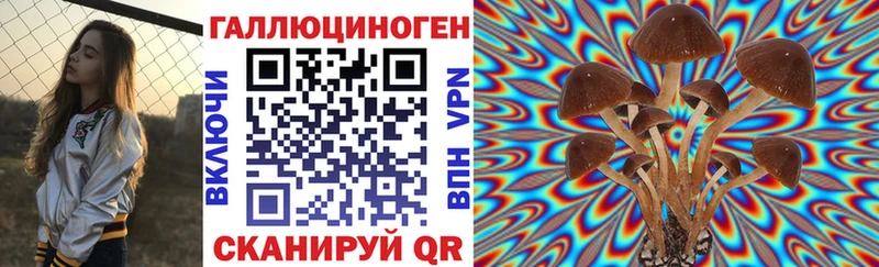 hydra   где найти   Кудрово  Галлюциногенные грибы ЛСД 