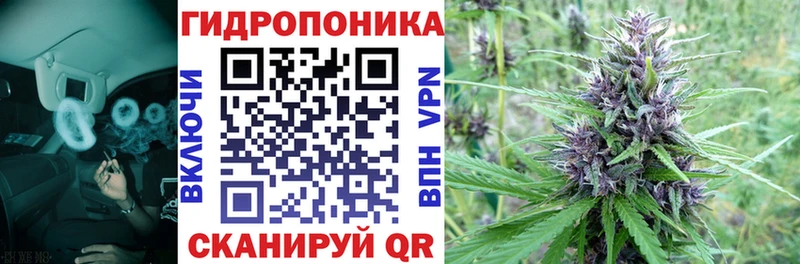 Каннабис марихуана Кудрово